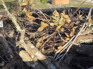 Cleanups by Marcus Mills for Kelci p. in Spring Hill, FL