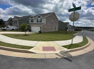 Carolynn P.'s Yard Cutting service result