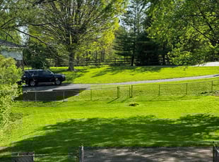 Dawn H.'s Yard Cutting service result