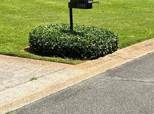 Bush Trimming by Louis Sampson for Tracy O. in Mableton, GA