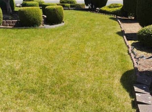 Elizabeth S.'s Lawn Service service result