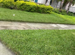 Chrystal M.'s Grass Cutting service result