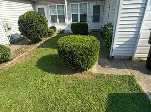 Peter S.'s Yard Cutting service result
