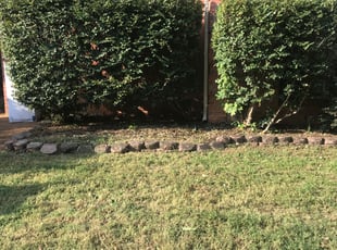 Bush Trimming by Bridgette Hill for Brittany B. in Cordova, TN