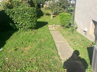 Bush Trimming by Dante Rivera for Laura G. in Feasterville-Trevose, PA