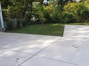 Leaf Removal by Miguel Santos for Chris B. in Bethesda, MD