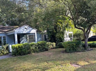 Bush Trimming by Albert Brown for Priscilla M. in Orlando, FL
