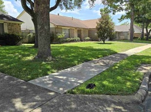 Tricia O.'s Lawn Care service result