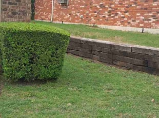Bush Trimming by Valentina Toledo for Loretta J. in Duncanville, TX