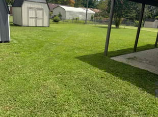Denzel O.'s Lawn Mowing service result