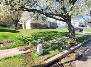 Nikole D.'s Lawn Care service result