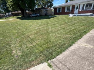 Paulina L.'s Lawn Service service result