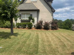 Heather B.'s Lawn Mowing service result