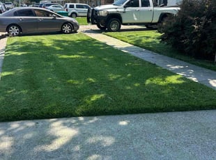David D.'s Lawn Maintenance service result