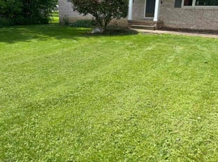 Chuck G.'s Grass Cutting service result