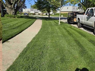 Andrea S.'s Lawn Maintenance service result