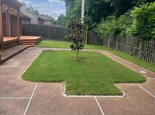 Michael D.'s Lawn Maintenance service result