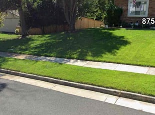 Richard T.'s Lawn Mowing service result