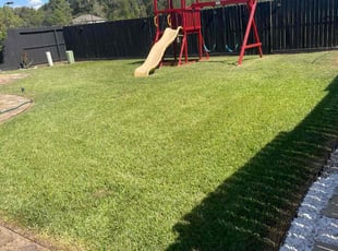 Tyrone M.'s Yard Cutting service result