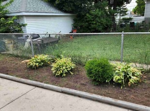 Weeding by Ronnie Anderson for Sheryl C. in West Allis, WI