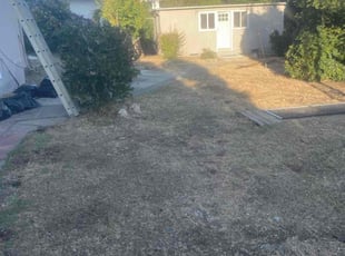 Rob H.'s Cleanups service result
