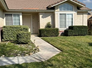 Bush Trimming by Jvon Robinson for Lance O. in San Bernardino, CA