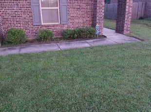Janifer B.'s Bush Trimming service result