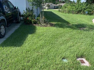 Shelly K.'s Yard Cutting service result
