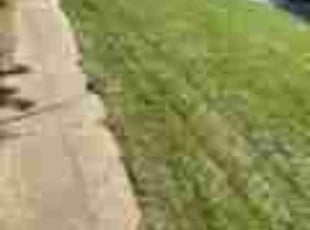 CJ G.'s Lawn Service service result