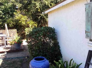 Bush Trimming by Damian Cornelious sr for Constance T. in Los Angeles, CA