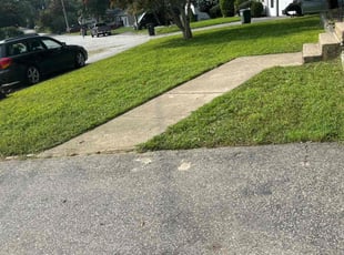 Dean R.'s Lawn Care service result