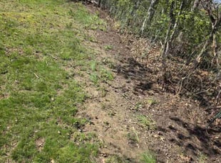 Leaf Removal by Baltazar Diaz for Taylor J. in Newark, DE