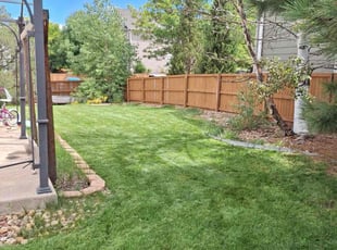 James P.'s Grass Cutting service result