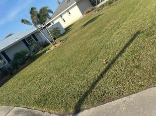 Pat M.'s Lawn Mowing service result