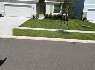 Sheryl B.'s Lawn Mowing service result