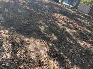 Cleanups by Irvin Lopez for Kansas h. in Green Hill, TN