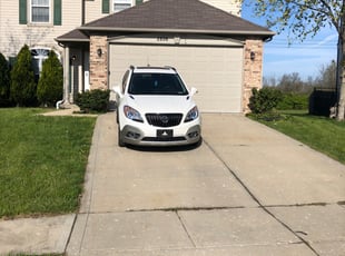 Bush Trimming by Stephen Gray for Sharon W. in Indianapolis, IN