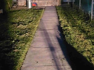 Minerva V.'s Lawn Service service result