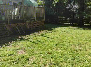 Leaf Removal by Jimmy Craighead for Donna A. in Mount Airy, MD