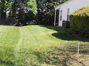 Tyler F.'s Lawn Mowing Service service result