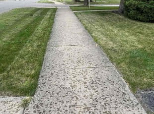 Robbie F.'s Grass Cutting service result