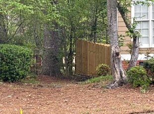 Bush Trimming by Elijah Davis for Suandria H. in Powder Springs, GA