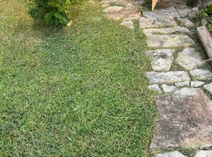 Wesley P.'s Lawn Service service result