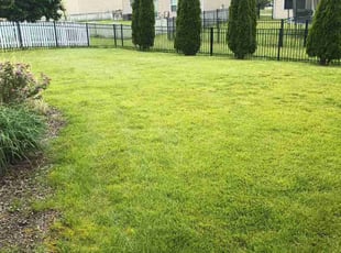 Cheryl R.'s Lawn Mowing service result