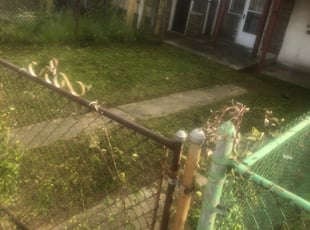 Cleanups by Darren Burch for Lynne M. in Philadelphia, PA