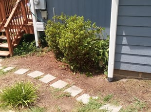 Bush Trimming by Conan Ford for Monique G. in Asheville, NC