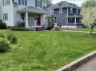Ron W.'s Grass Cutting service result