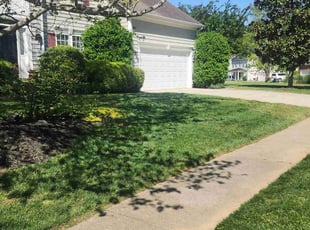 Rupel p.'s Lawn Maintenance service result