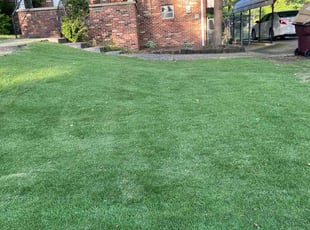 Ashley P.'s Lawn Care service result