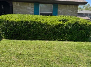 Bush Trimming by Austin Short for Alex W. in Norman, OK